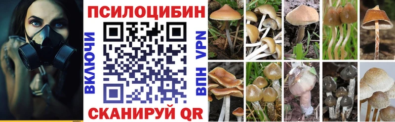 хочу наркоту Слюдянка Галлюциногенные грибы GOLDEN TEACHER